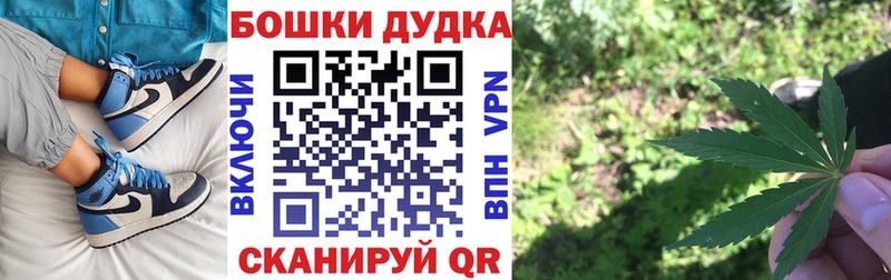 блэк спрут как войти Щигры Бошки Шишки планчик